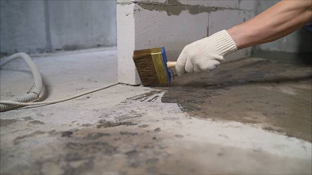 Top rated local Wet Basement Repair specialists in Delaplane, VA